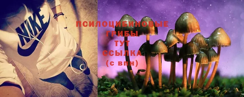 Галлюциногенные грибы MAGIC MUSHROOMS  hydra ссылка  Сокол 